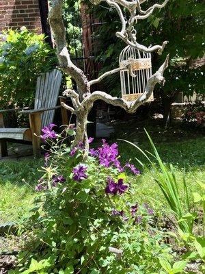 photo of City Cinderella N.