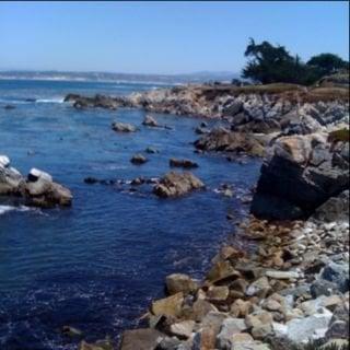 photo of Stephanie B.