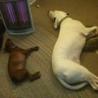 photo of Christopher G.