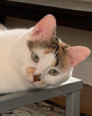 Photo of Chaka C.