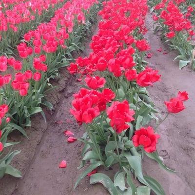 Photo of Cassandra H.