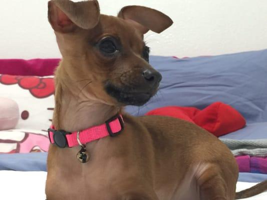 photo of MariaAnna M.