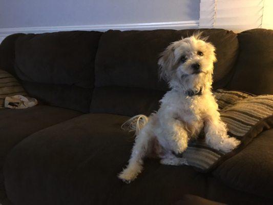 photo of Kimberly H.