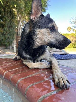 Photo of Toby S.