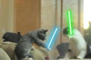 photo of Jennifer W.