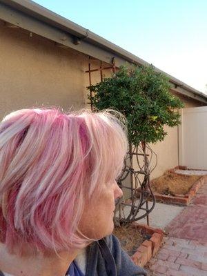 Photo of Sherry B.
