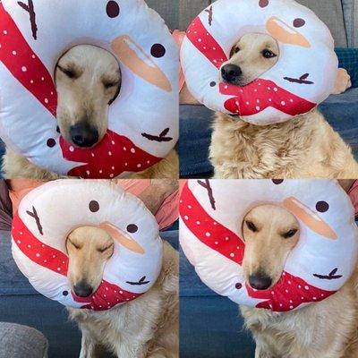 photo of Mary Beth P.