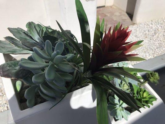 photo of Nataliya L.