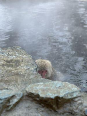 photo of Christian P.