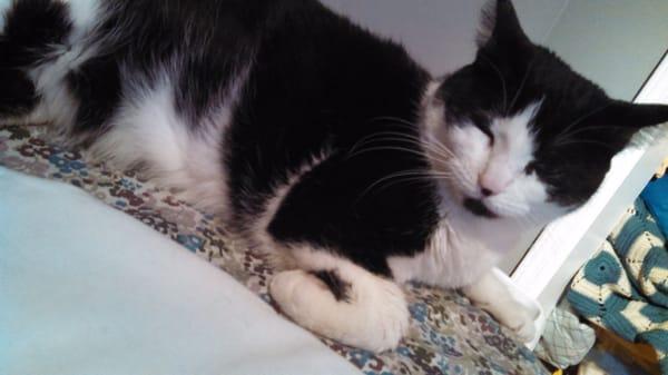 photo of Krystina R.