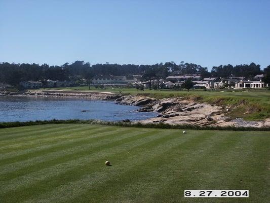 photo of Riesenschnauzer K.