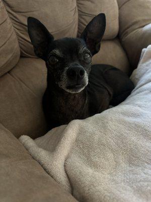 photo of Christina G.