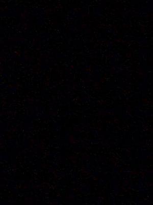 Photo of Brooklynn L.