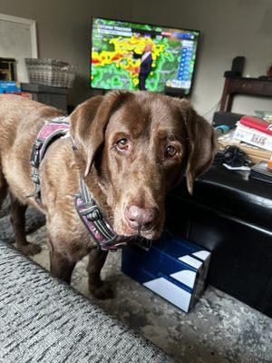 Photo of Christine F.