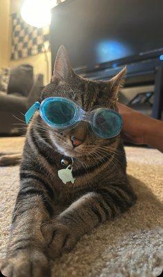 photo of Giovanny G.