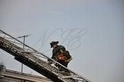 Photo of Brayan K.