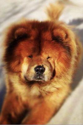 Photo of Kabo Y.