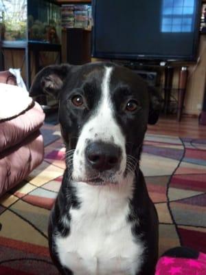 photo of Elizabeth R.