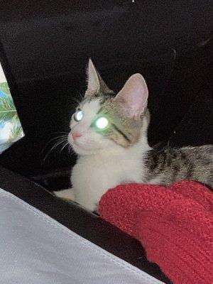 Photo of Kat W.