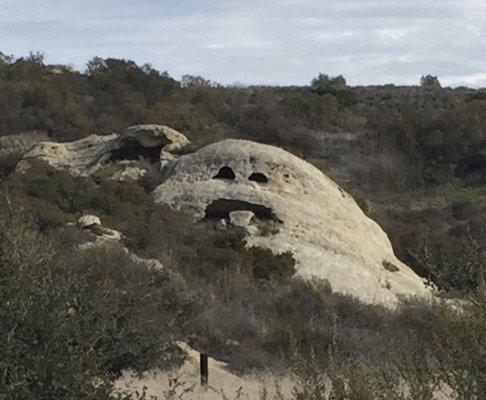 photo of Kimberly H.