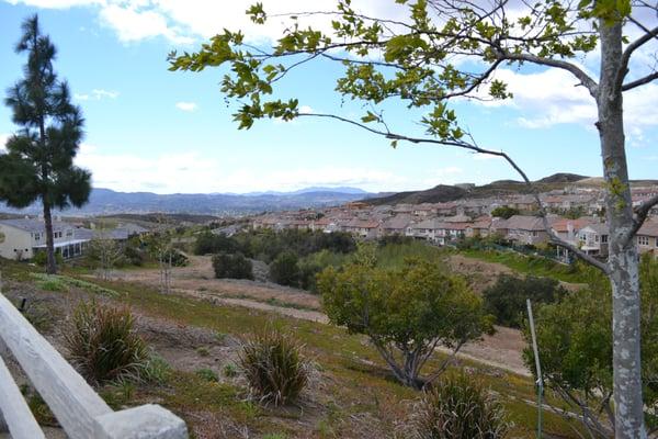 photo of Michelle M.