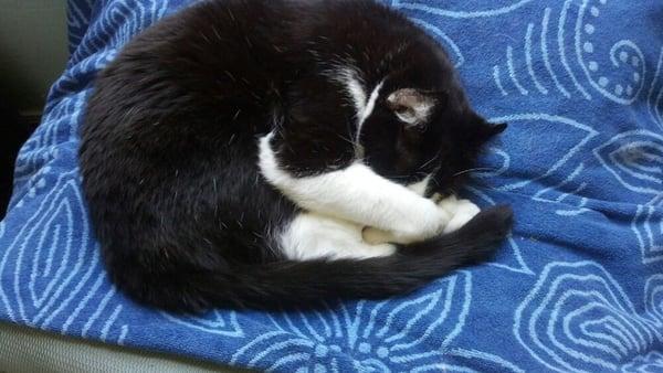 photo of Kimberle S.