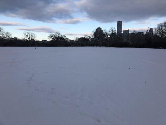 Photo of Elizabeth F.