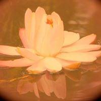 photo of Rosemarie B.