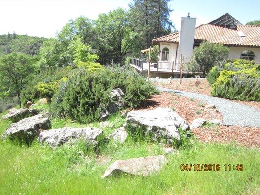 photo of Patricia A.