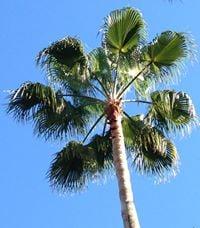 photo of Christine C.