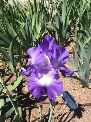 photo of Michelle P.