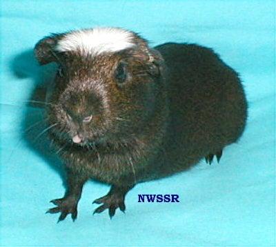 photo of Jacqueline W.