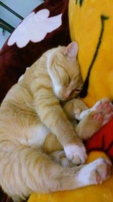 photo of Tonantzin C.