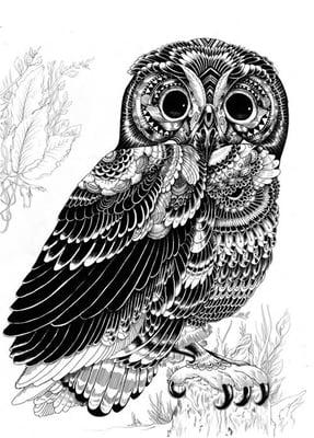 photo of Jennifer R.