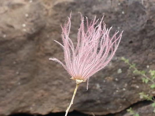 photo of Christina C.