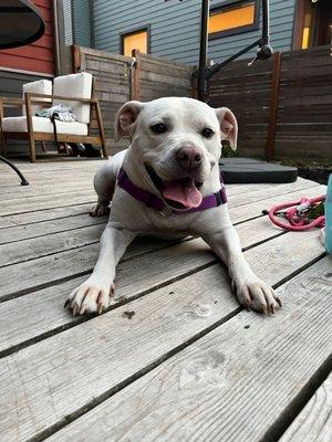 Photo of Danielle S.