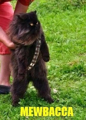 photo of Jennifer E.