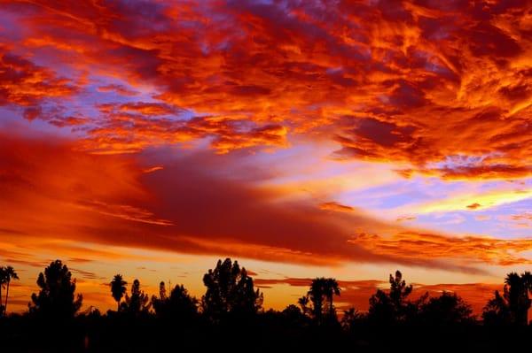 Photo of Virginia H.