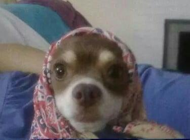 Photo of Candy C.