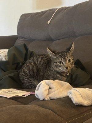 photo of Samantha c.