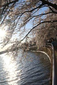 photo of AnnMarie C.