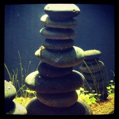 photo of Katherine G.