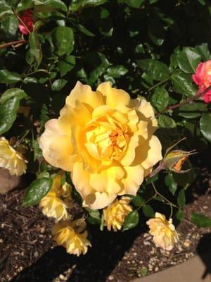 photo of Magdalena T.