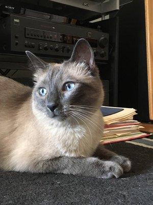 photo of Jacqueline C.