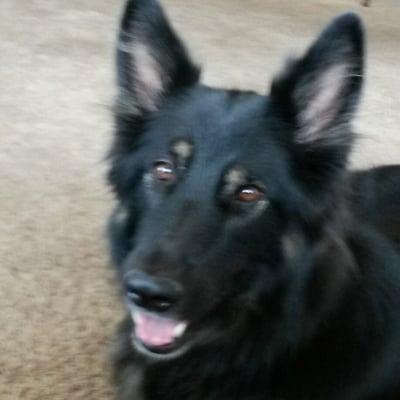 photo of Birdie C.