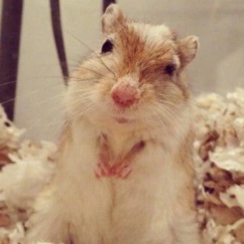 photo of Danielle L.