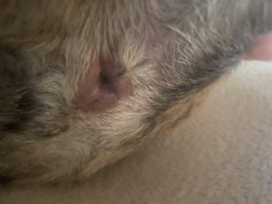 Photo of Rad Ryan W.