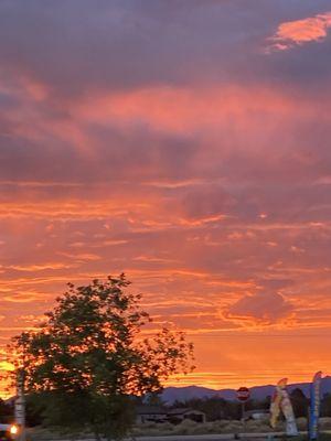 photo of Kathleen C.