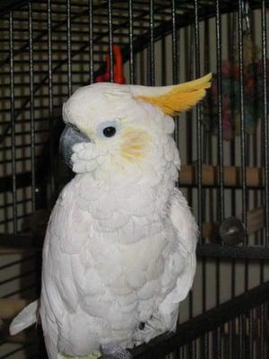 Photo of Tee B.