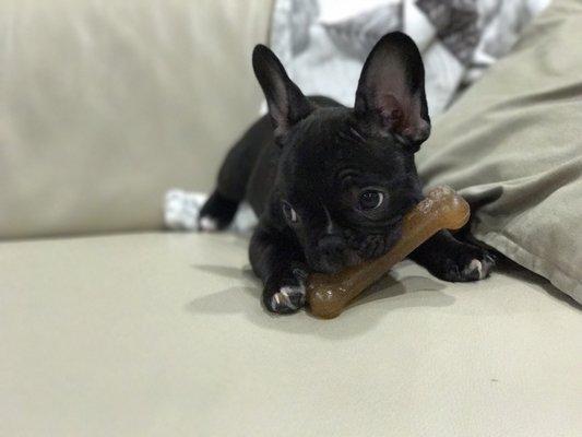 photo of Christina C.